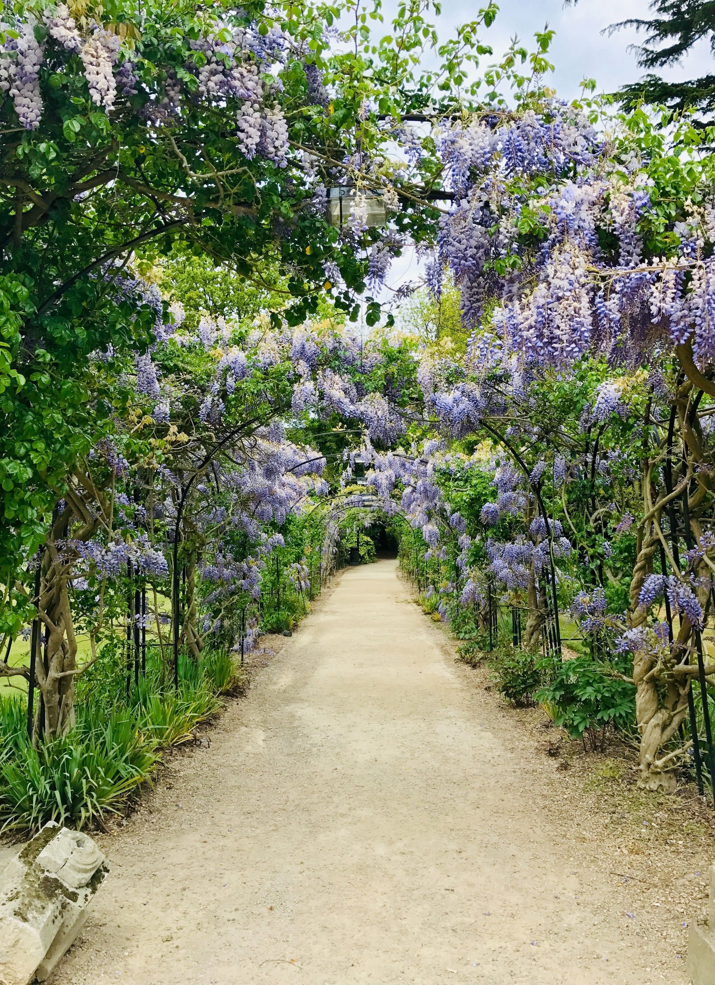 Gardens to Visit in England